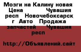 Мозги на Калину новая › Цена ­ 6 000 - Чувашия респ., Новочебоксарск г. Авто » Продажа запчастей   . Чувашия респ.